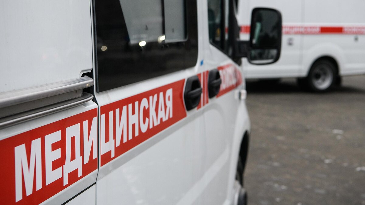    Фото: Ilya Moskovets/globallookpress.com