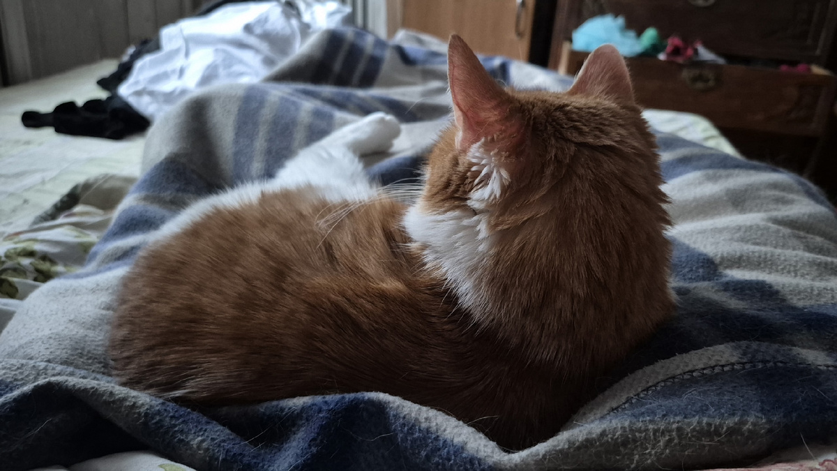 это мы ложимся спать. Светает