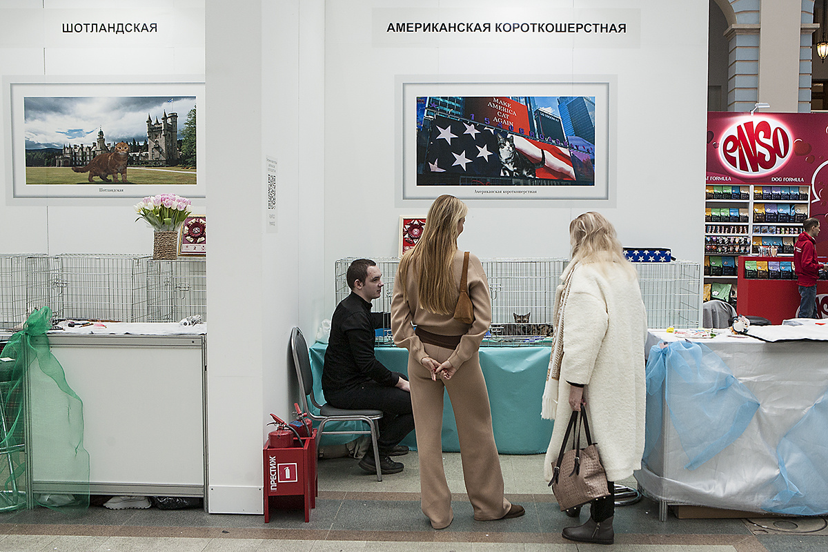 Зарисовки с Аллеи пород