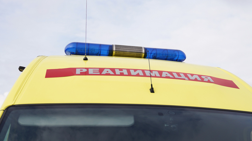    Фото: ИЗВЕСТИЯ/Антон Рожко