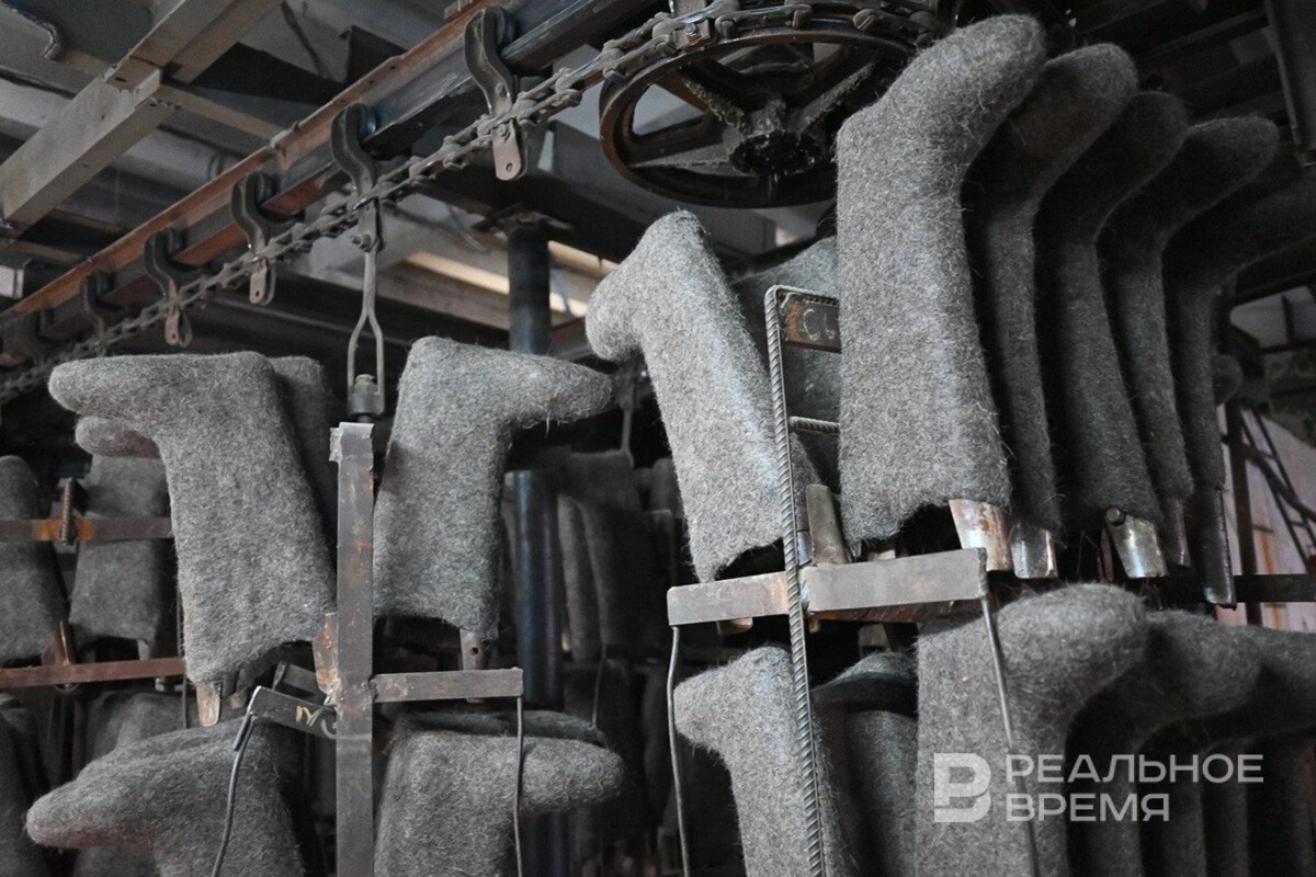   Максим Платонов / realnoevremya.ru