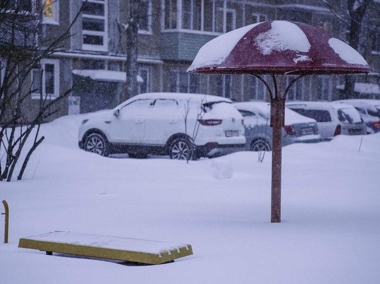     Фото: Светлана Мулыкина