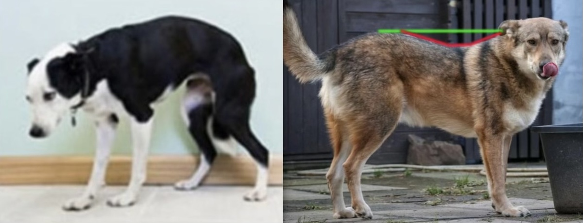 на фото ситуации уже сильно запущены. 