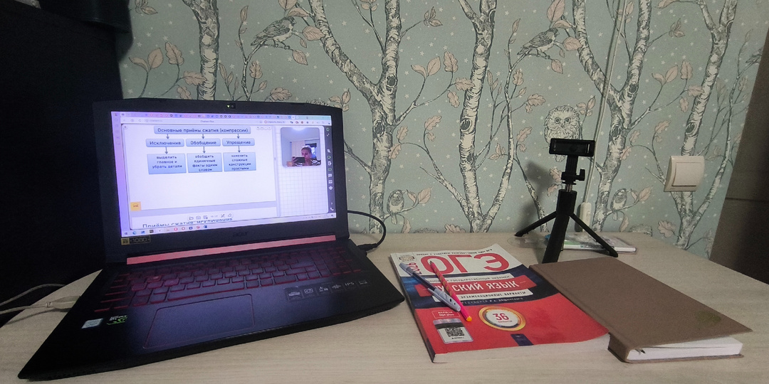 Тёмная сторона репетиторства