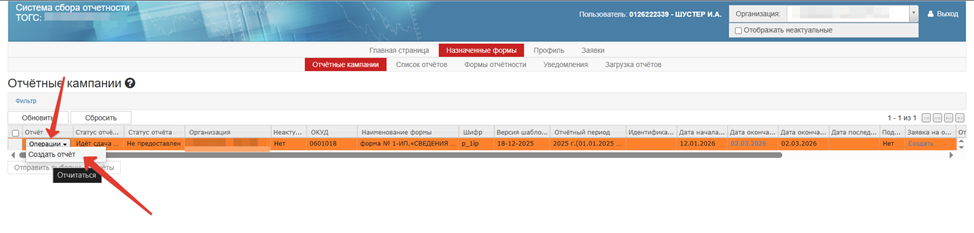 Инофрмация об отчетности