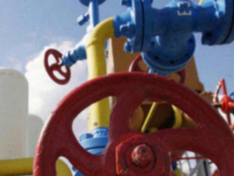     Фото: Str/ZUMAPRESS.com/Global Look Press