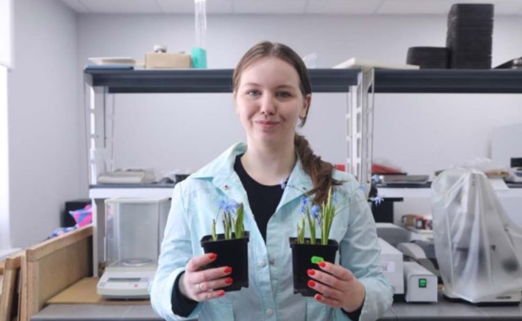    Фото: Пресс-служба НИУ «БелГУ»