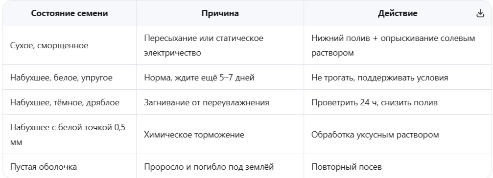 таблица оценки