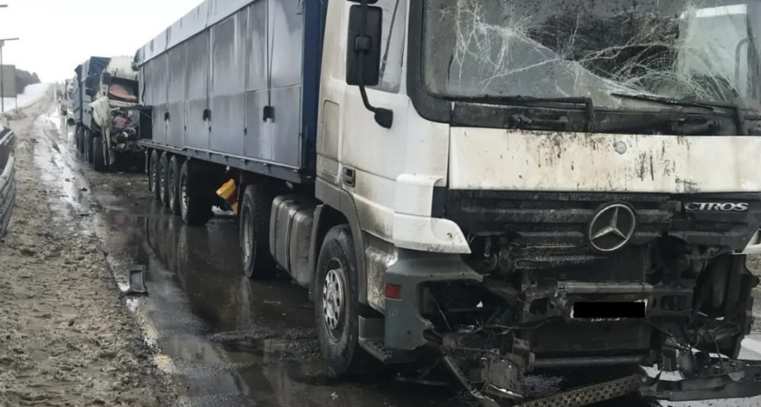    Госавтоинспекция Тамбовской области