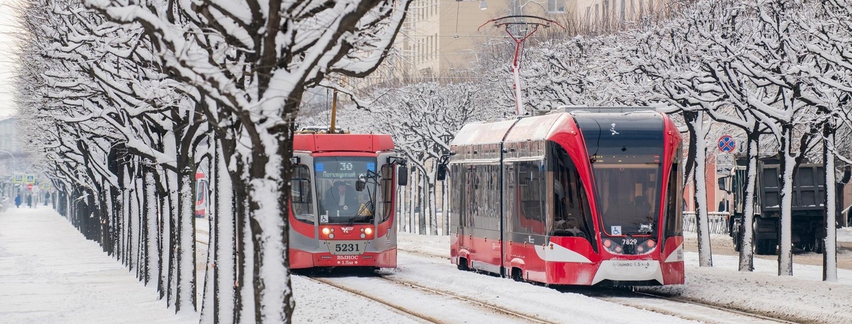    На юге Петербурга появятся новые трамвайные линии Автор фото: Ермохин Сергей/"ДП"
