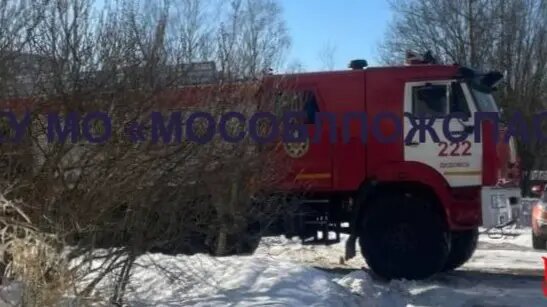    Фото: vm.ru Алла