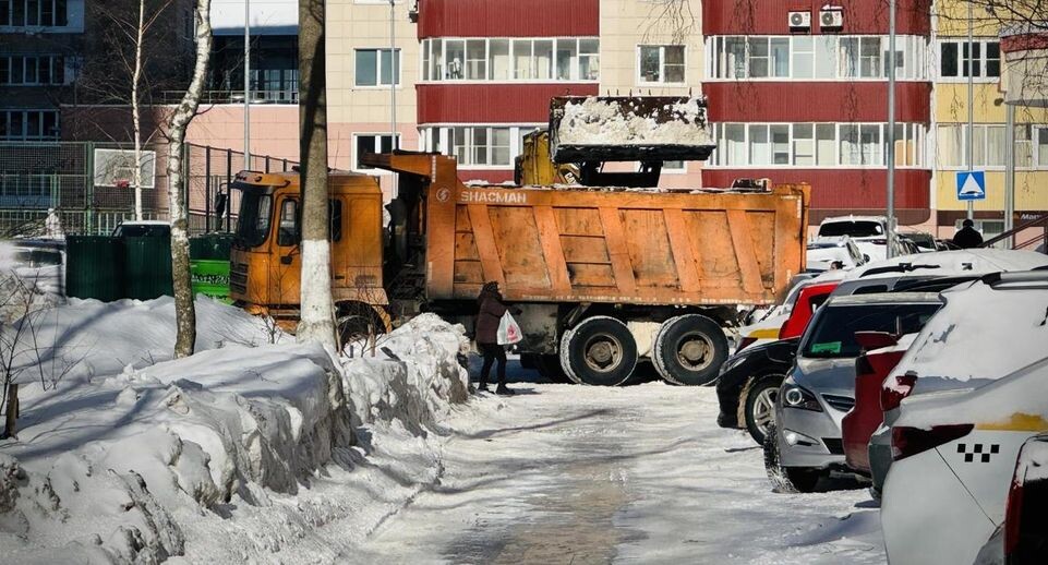    Виктория Фортуна