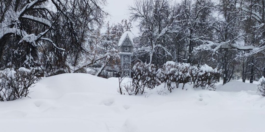 В ночь на 18 февраля в Пензенской области ожидается похолодание