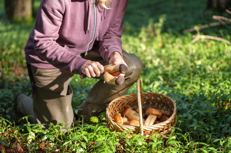    Shutterstock/FOTODOM