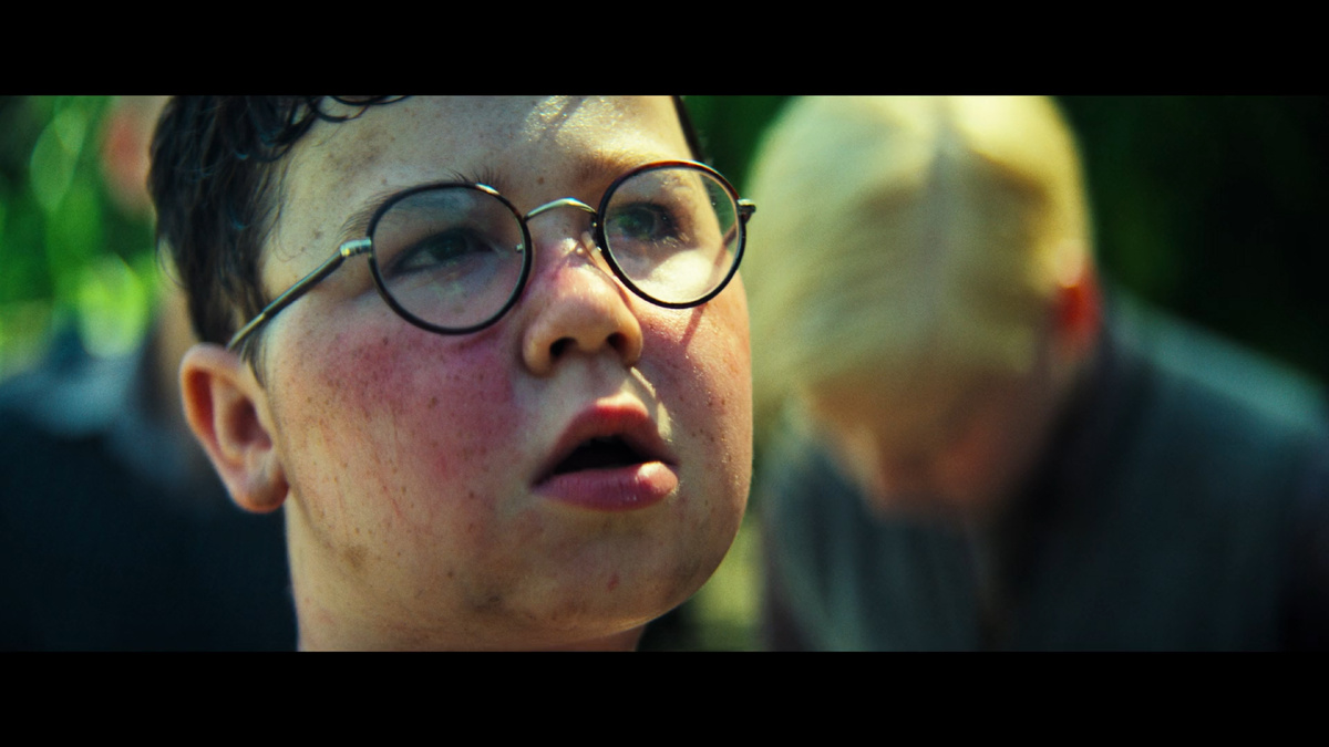 Дэвид Маккена в роли Хрюши