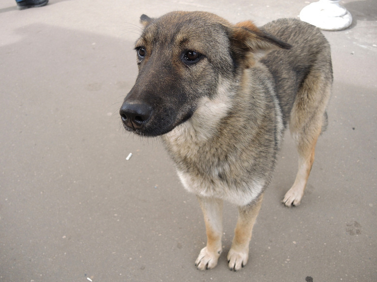   Наталья Мущинкина