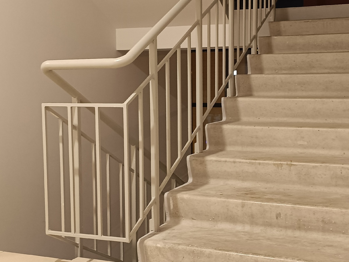    фото: © Столица на Онего