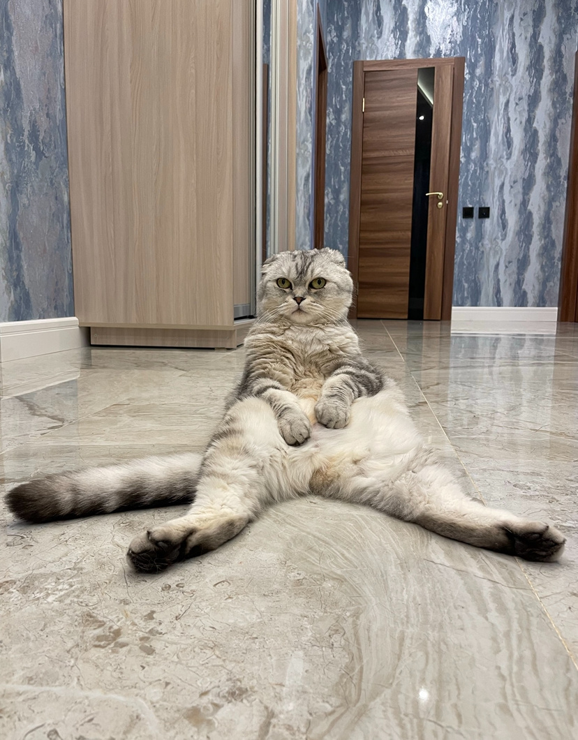 Из личного архива