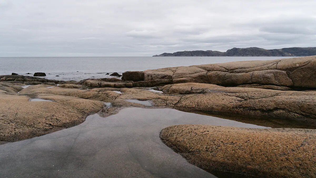    Фото: vm.ru Виктор Фоминцев