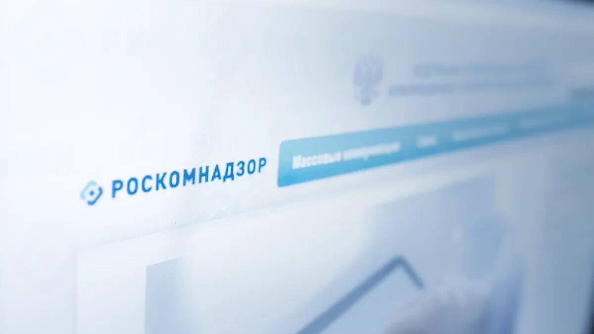    Фото: vm.ru Анна Тихомирова