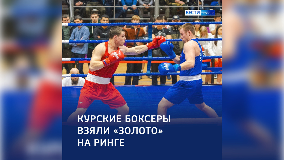    В Курске определили сильнейших боксеров региона