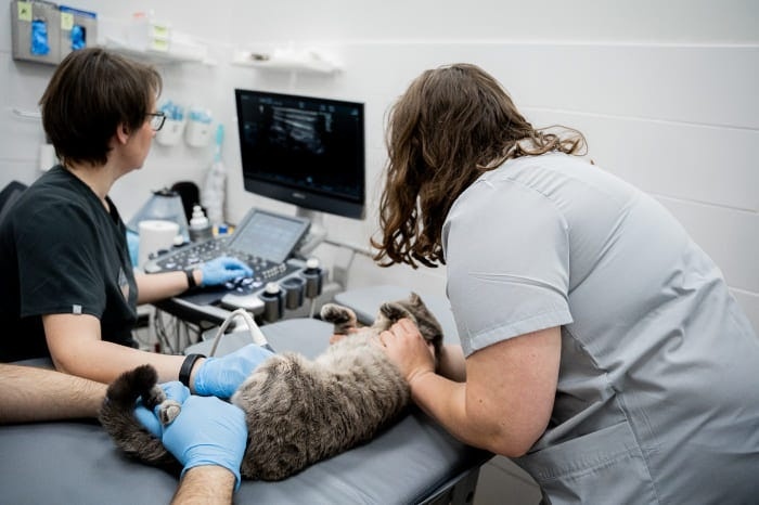 Создать карусель