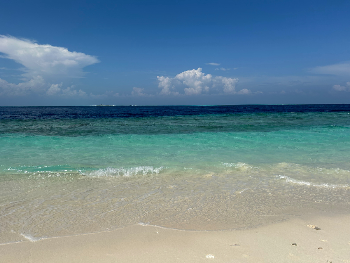 Живые краски Мальдив. Фото автора