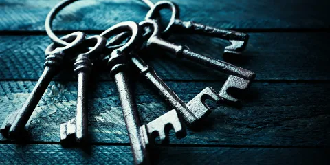 Невероятные приключения "Кошатины"