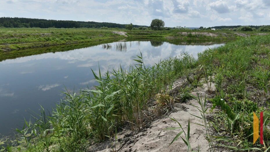    Автор фото: архив РИА «Воронеж»