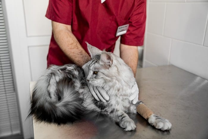 Создать карусель