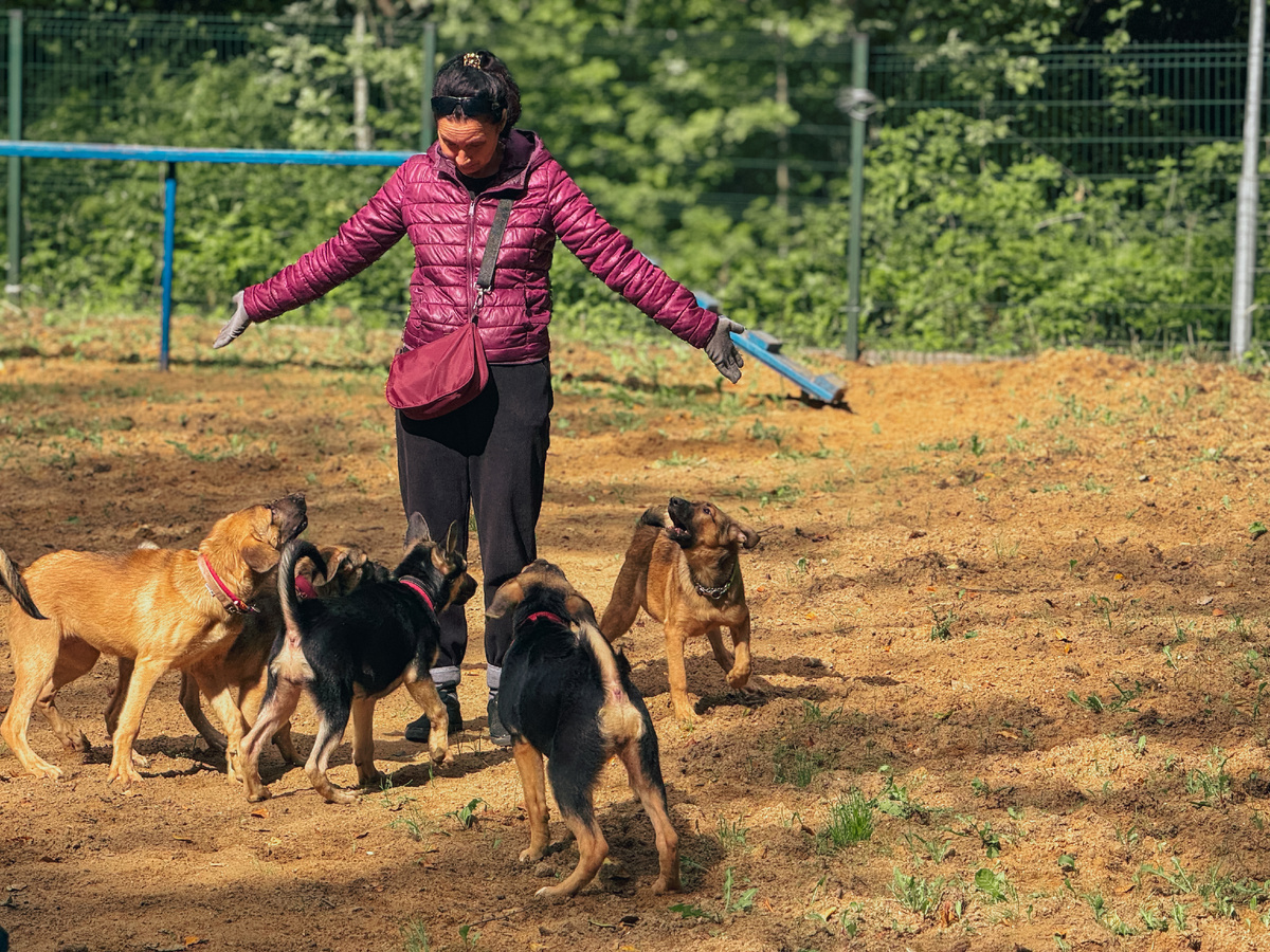 Да, весело! Да, можно сойти с ума:)