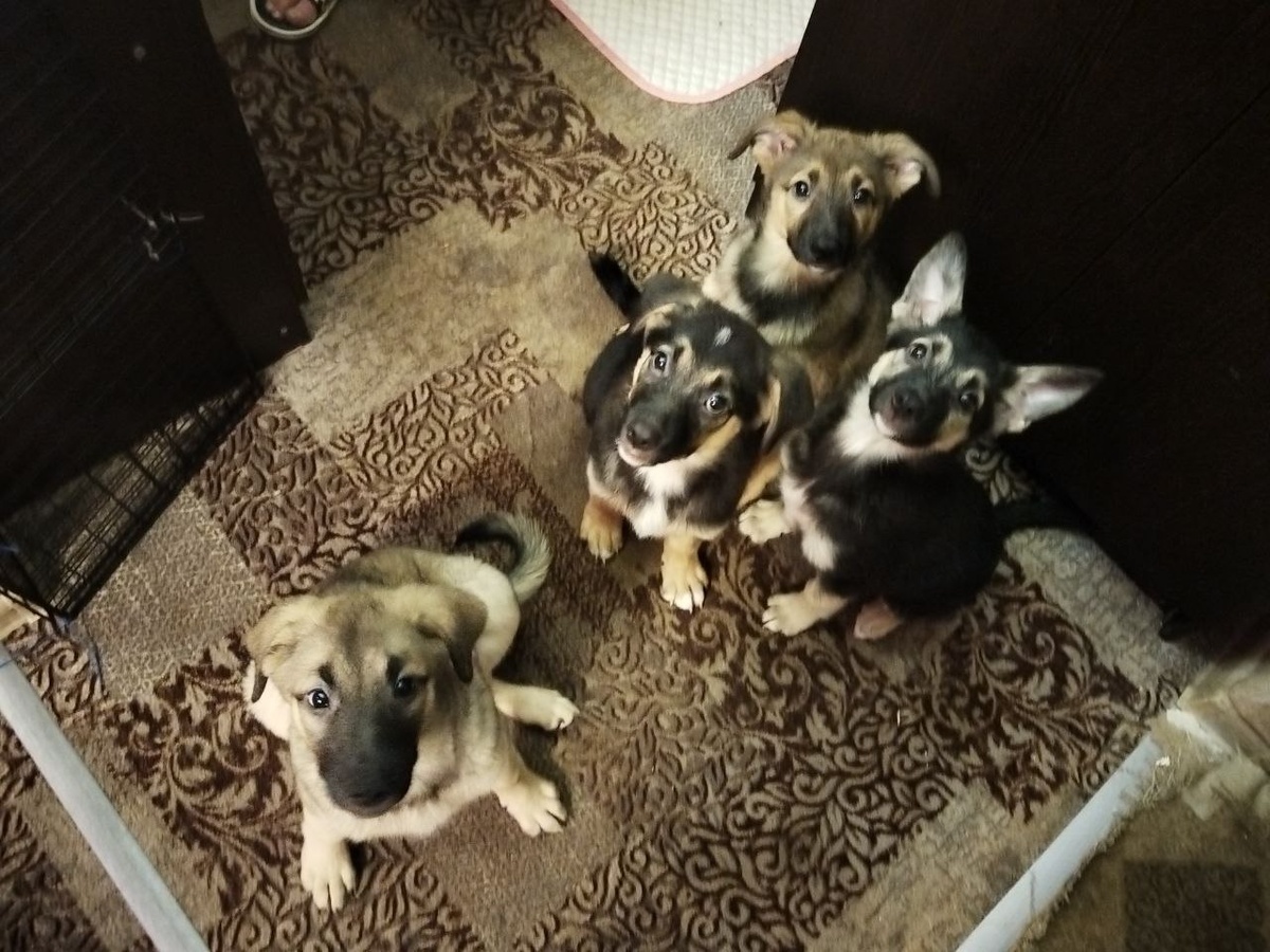 А нам нормально!