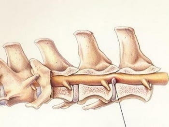 Создать карусель