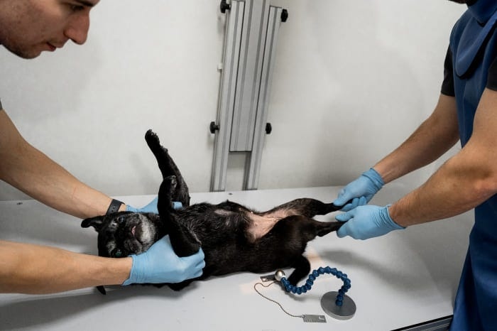 Создать карусель