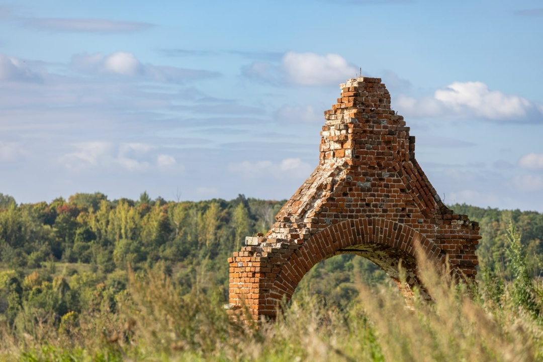 Казанская церковь Остатки ворот ограды Данковский район