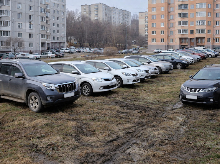     В Хабаровске выявили 15 автомобилей на газонах в «Ореховой сопке». фото: мк хабаровск