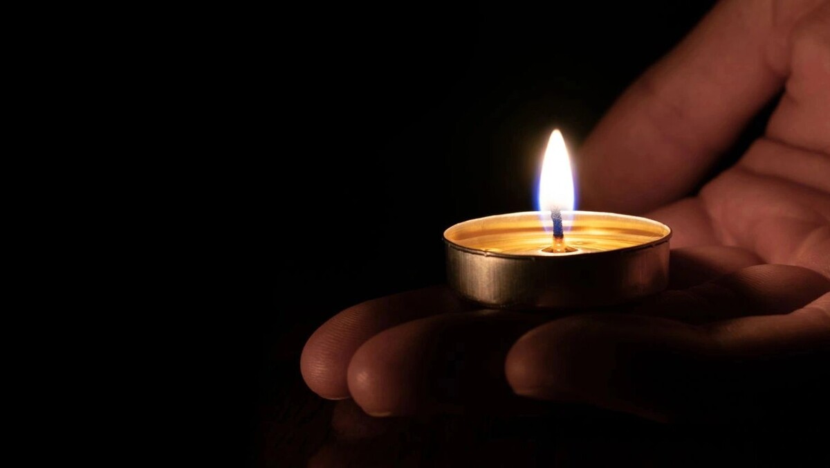    Фото: Dmitriy Yermishin/Shutterstock/Fotodom