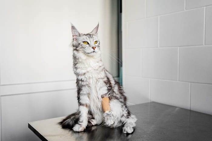 Создать карусель