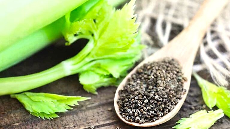 семена черешкового сельдерея