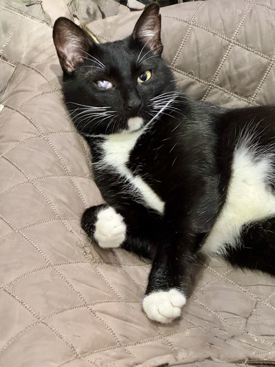 Ну вроде выспались, да