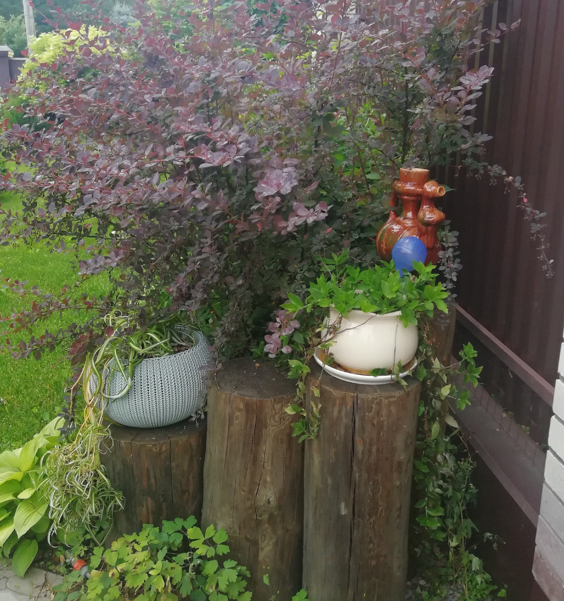 Компостная куча спрятана от постороннего взгляда