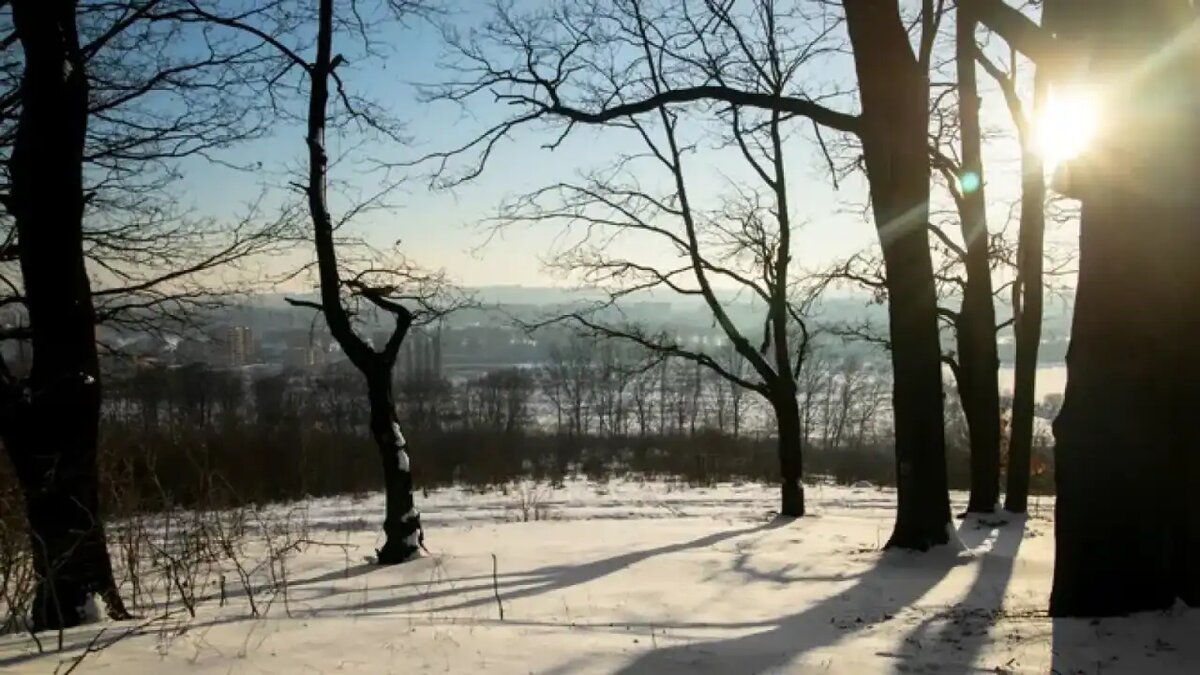    Зима в Москве. © freepik.com