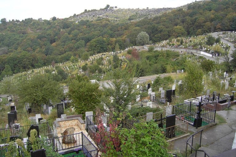    Digital StillCamera ngsochi