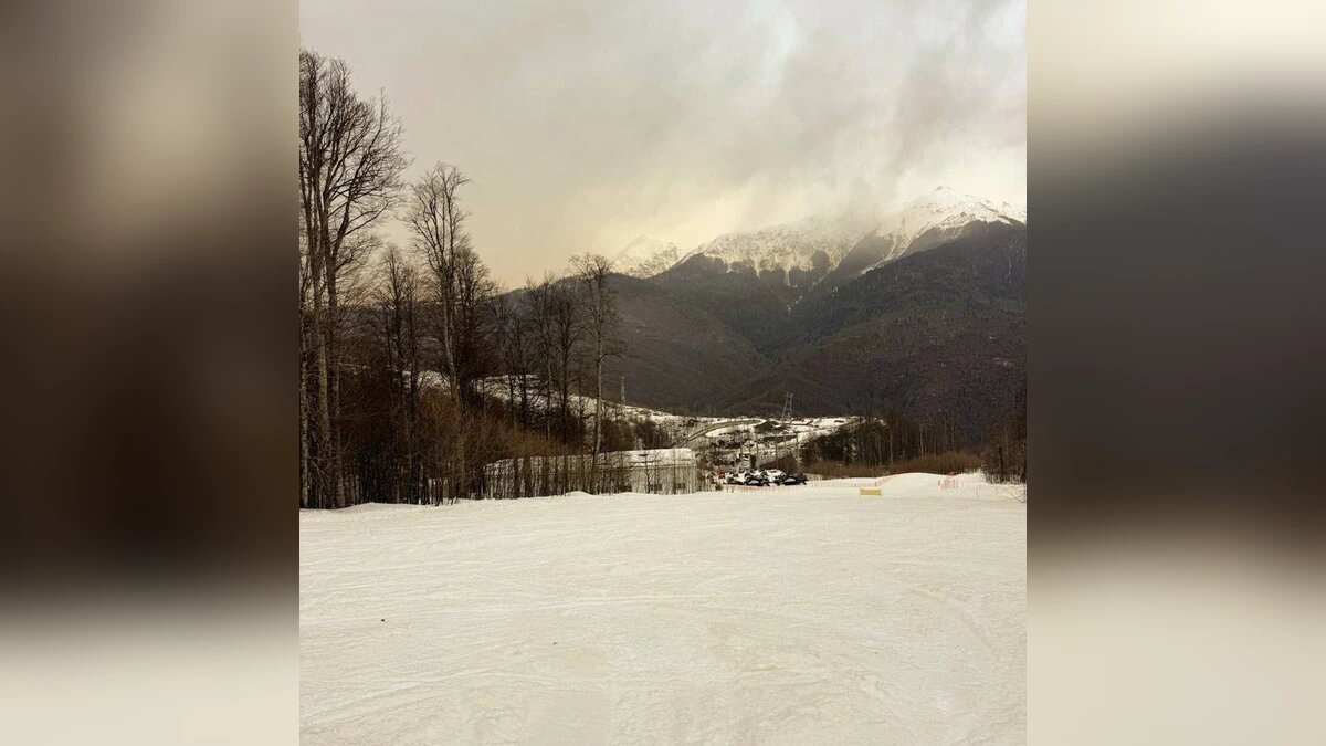    Фото t.me/soch01