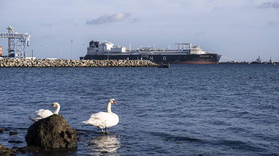    Фото: Global Look Press/IMAGO/Jurgen Schwenkenbecher