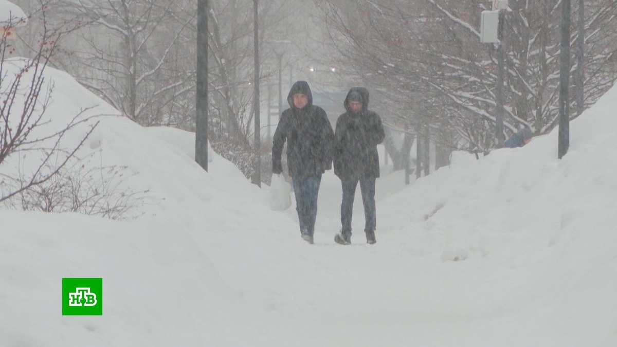    В Анадыре    из-за    пурги отменили уроки в школах, не ходят автобусы