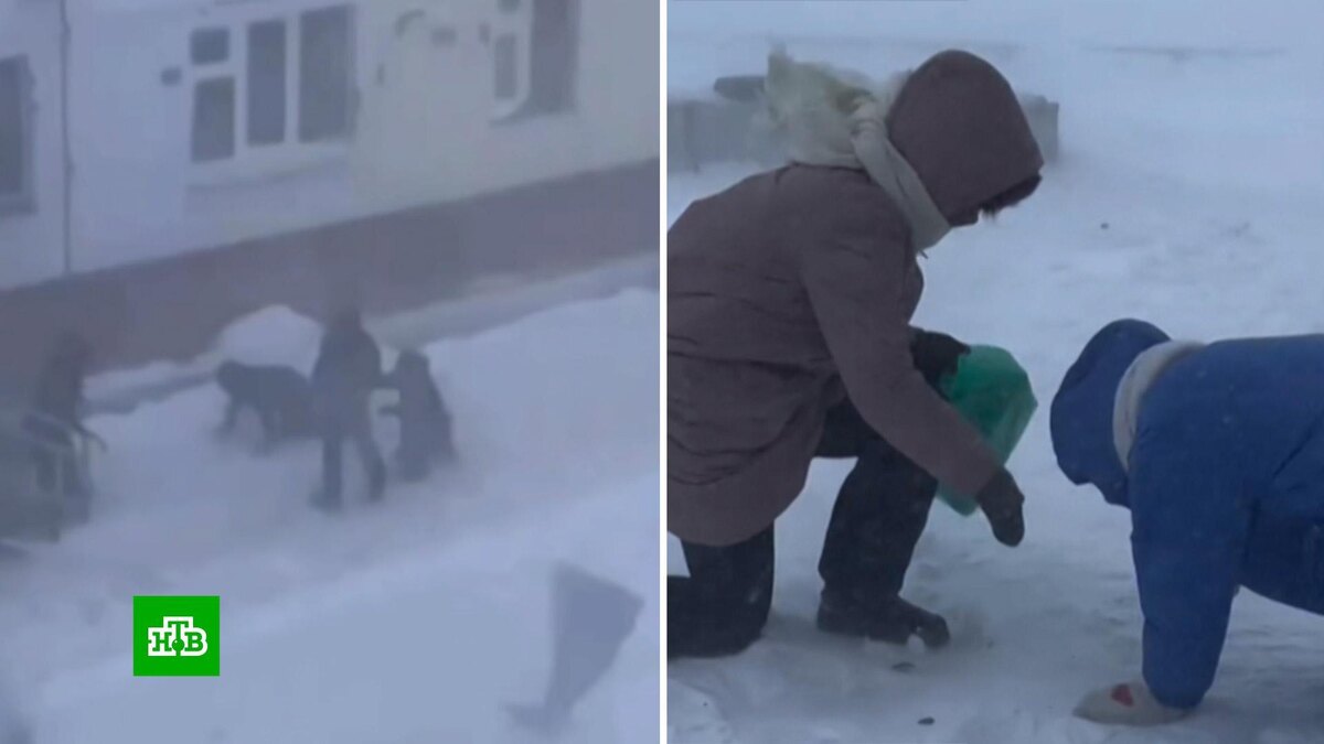    На Чукотке шквалистый ветер сбивает людей с ног и сносит крыши