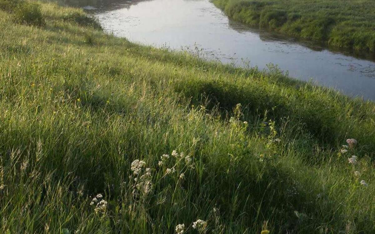    Суд заставил администрацию Аннинского района рассчитаться с предпринимателем за землю Фото – GigaChat