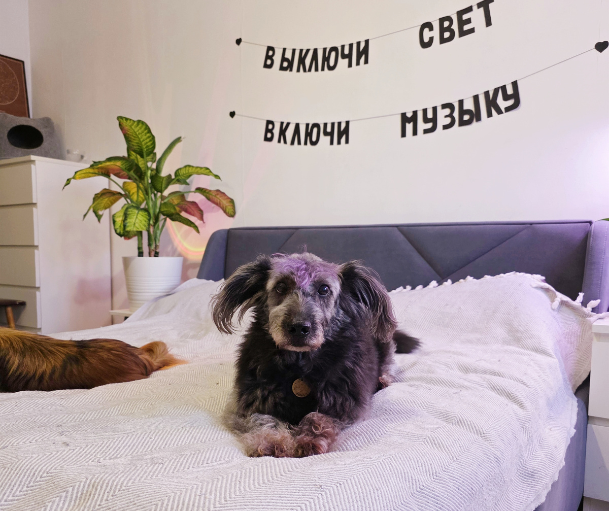 В восторгенетолько мы, но и зоопарк наш