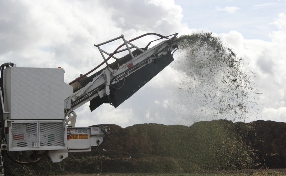    Измельчитель деревьев выбрасывает измельчённые рождественские ёлки. Источник изображения: kpbs.org